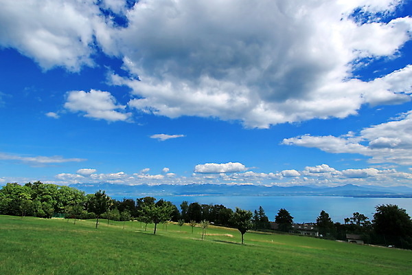 포토 JPG 해외이미지 나무 구름 유럽 호수 자연 하늘 산 안테나 파노라마 풍경 사람없음 여름 파란색 정상 고도 스위스 알프스 절정 해외202004 해외포토 자연요소 식물 계절 나라 컬러 통신 촬영기법 생태계 파일형식 이미지허브