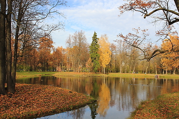 포토 JPG 해외이미지 나무 공원 잎 사람없음 물 반사 가을 해외202004 해외포토 자연요소 식물 계절 공공시설 파일형식 이미지허브