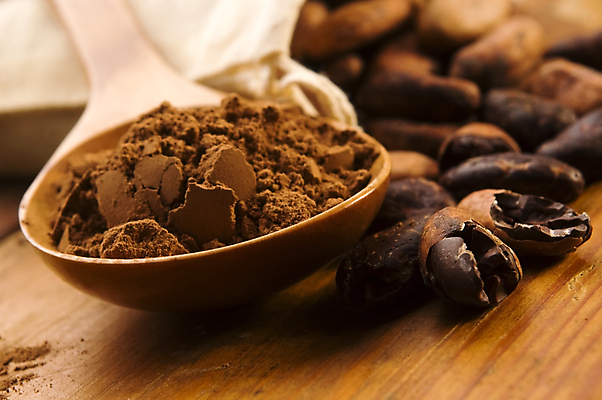 포토 JPG 해외이미지 실내 사람없음 아웃포커스 초콜릿 나무숟가락 나무탁자 카카오 코코아가루 카카오닙스 해외202004 해외포토 탁자 디저트 촬영기법 내부 숟가락 견과류 가루 파일형식 이미지허브