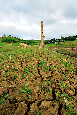 포토 JPG 해외이미지 모양 나무 구름 실루엣 지구 모래 백그라운드 밭 태국 자연 하늘 날씨 건조 풍경 사람없음 초록색 물 여름 글로벌 햇빛 갈색 환경 골짜기 맑음 손상 사막 바위 흰색 신선 뜨거움 황금 큼 지역 가뭄 안심 내추럴 깨짐 땅바닥 파라다이스 해외202004 해외포토 자연요소 식물 계절 아시아 컬러 컨셉 농업 바닥 촬영기법 육류 태양 돌_바위 크기 생태계 파일형식 이미지허브