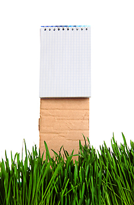 포토 JPG 해외이미지 식물 포스터 종이 백그라운드 자연 잔디 사람없음 목재 초록색 여름 우주 정원 쪽지 침묵 공백 활발 방 성장 흰색 신선 메시지 편지 오브젝트 사인 엽서 페이지 공지사항 내추럴 패드 고립 명패 옛날 조언 목차 해외202004 해외포토 나무 계절 컬러 컨셉 재료 소리 생태계 파일형식 이미지허브