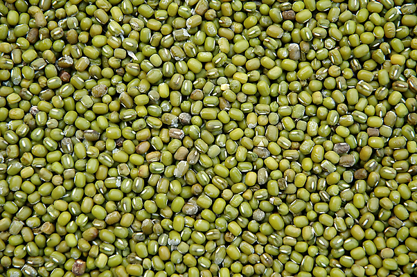 포토 JPG 해외이미지 음식 백그라운드 다이어트 채소 자연 콩 건조 건강 요리 씨앗 사람없음 초록색 맥박 질감 섬유 내추럴 단백질 채식주의자 해외202004 해외포토 식물 컬러 의학 곡류 직물 생태계 채식 영양소 파일형식 이미지허브