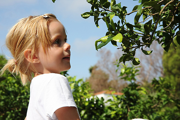 포토 JPG 해외이미지 백인 여자 행복 얼굴 어린이 자연 한명 미소 사람 금발 걸음마 천진난만 해외202004 해외포토 서양인 1 헤어스타일 감정 컨셉 모션 표정 신체부위 생태계 파일형식 이미지허브