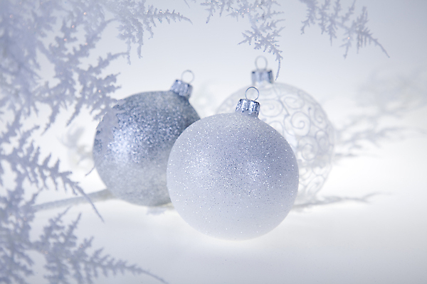 포토 JPG 해외이미지 잎 크리스마스장식 크리스마스 실내 사람없음 장식볼 오브젝트 흰배경 오너먼트 해외202004 해외포토 식물 기념일 백그라운드 내부 장식 흰색 파일형식 이미지허브