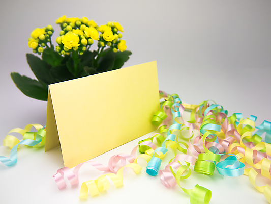 포토 JPG 해외이미지 템플릿 디자인 기념일 꽃 행복 리본 종이 분홍색 백그라운드 프레임 선물 미술 이벤트 사람없음 장식 초록색 파란색 노란색 라벨 우주 공백 흰색 축하 인사 신용카드 메시지 달콤 엽서 초대 해외202004 해외포토 식물 감정 컬러 컨셉 문화예술 금융 예절 맛 편지 파일형식 이미지허브