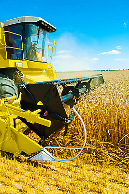 포토 JPG 해외이미지 식물 구름 직업 산업 줄기 컨셉 밭 농업 자연 하늘 옥수수 사람없음 야외 여름 농작물 농장 노란색 기계 장비 수확 성장 가을 시골 업무 작업 황금 땅 자르기 시리얼 밀 보리 먼지 장면 밀짚 호밀 수평선 전경 해외202004 해외포토 자연요소 계절 음식 컬러 모션 곡류 풍경 짚 생태계 파일형식 탑뷰 이미지허브