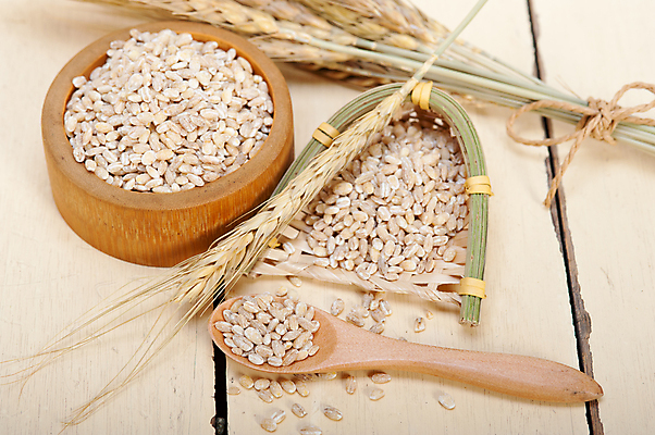 포토 JPG 해외이미지 근접촬영 사람없음 농작물 낟알 보리 보리이삭 해외202004 해외포토 뷰포인트 농업 곡류 이삭 파일형식 이미지허브