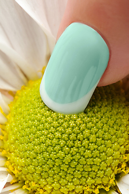 포토 JPG 해외이미지 손 손가락 미술 사람없음 장미 유행 화장품 손톱관리 손톱 데이지 돌봄 위생관리 아크릴 스타일 해외202004 해외포토 꽃 모션 재질 문화예술 관리 신체부위 뷰티 네일아트 파일형식 이미지허브