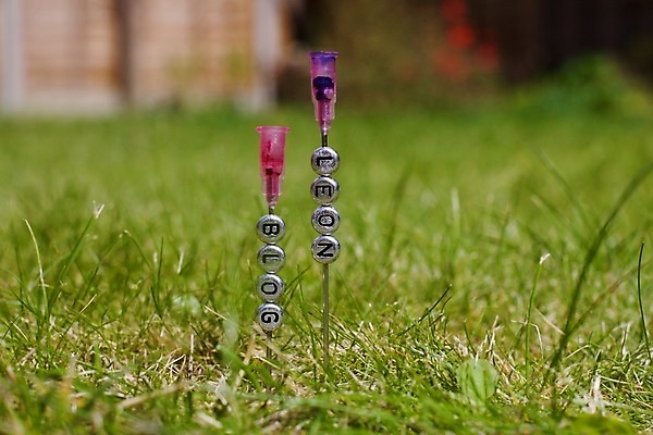 포토 JPG 해외이미지 라이프스타일 백그라운드 추상 미술 사람없음 초록색 이름 은색 편지 작가 마약 헬프 중독자 해외202004 해외포토 직업 컬러 무늬 문화예술 생활 도움 파일형식 이미지허브