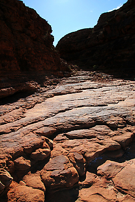 포토 JPG 해외이미지 공원 풍경 사람없음 빨간색 세계 골짜기 사막 거친 재산 호주 왕 땅 아래 내추럴 오지 울퉁불퉁 전국 해외202004 해외포토 공공시설 컬러 자연 금융 오세아니아 방향 위치 파일형식 이미지허브