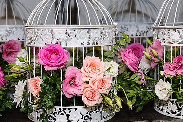 포토 JPG 해외이미지 접시 디자인 꽃 꽃다발 결혼 꽃무늬 결혼식 휴가 선물 사랑 이벤트 사람없음 장식 장미 파티 요식업 식당 화환 희망 벚꽃 흰색 나뭇가지 축하 화려 고급 우아함 배열 서비스 새장 설정 옛날 접수 정중 파스텔톤 해외202004 해외포토 나무 식물 식기 감정 산업 컬러 컨셉 무늬 상점 케이지 파일형식 이미지허브