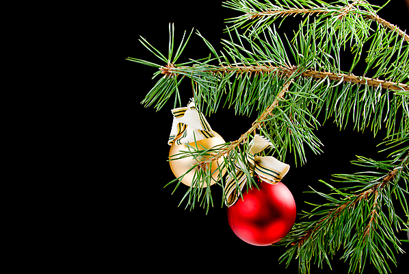 포토 JPG 해외이미지 나무 백그라운드 크리스마스 겨울 휴가 미술 사람없음 장식 초록색 화환 나뭇가지 축하 가문비나무 해외202004 해외포토 식물 계절 기념일 꽃 컬러 컨셉 문화예술 파일형식 이미지허브