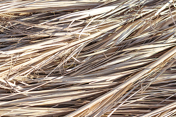 포토 JPG 해외이미지 백그라운드 패턴 아프리카 이집트 사람없음 네트워크 질감 홍해 노끈 밀짚 거짓말 구식 볏집 스크랩북 엮은 옛날 짜기 해외202004 해외포토 나라 줄 바다 무늬 모션 짚 파일형식 이미지허브