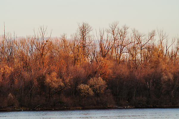 포토 JPG 해외이미지 나무 구름 계절 공원 호수 여행 낙엽 잎 캐나다 오렌지 자연 하늘 아침 날씨 산 풍경 사람없음 야외 목재 빨간색 초록색 물 파란색 강 컬러풀 햇빛 반사 노란색 환경 침묵 일몰 가을 시골 연못 숲 러시아 장면 자작나무 10월 내추럴 해외202004 해외포토 주간 자연요소 식물 공공시설 유럽 컬러 북아메리카 과일 재료 태양 노을 소리 날짜 생태계 파일형식 이미지허브