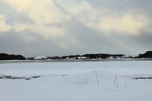 포토 JPG 해외이미지 나무 겨울 자국 자연 하늘 산 파노라마 노르웨이 풍경 사람없음 파란색 여행객 계곡 등산 트래킹 바위 흰색 정상 숲 언덕 해외202004 해외포토 식물 계절 유럽 컬러 레저 촬영기법 사람 돌_바위 생태계 파일형식 이미지허브