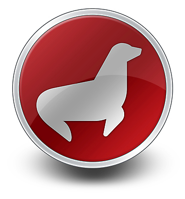 포토 JPG 해외이미지 동물 야생동물 바다 스티커 일러스트 포유류 버튼 동물원 종류 사람없음 픽토그램 여행객 물개 심볼 사인 쇼 지역 수족관 서식지 서명 해외202004 해외일러스트 사람 바다동물 파일형식 이미지허브