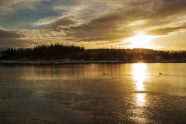 포토 JPG 해외이미지 구름 유럽 여행 겨울 자연 하늘 아이슬란드 풍경 사람없음 야외 태양 일몰 숲 내추럴 해외202004 해외포토 자연요소 계절 나라 노을 생태계 파일형식 이미지허브