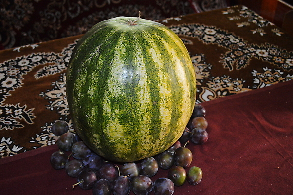 포토 JPG 해외이미지 라이프스타일 음료 음식 백그라운드 과일 유리 탁자 포도 수박 건강 사람없음 책 빨간색 초록색 침묵 수확 가을 신선 클래식 먹기 그림 포도나무 정물화 해외202004 해외포토 계절 컬러 가구 컨셉 농업 모션 재질 생활 소리 과일나무 파일형식 이미지허브