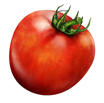 포토 JPG 해외이미지 식물 디자인 음식 백그라운드 잎 토마토 채소 일러스트 재료 자연 건강 요리 사람없음 빨간색 초록색 라벨 정원 흰색 신선 체리 시장 맛 케첩 오브젝트 싱글 유기농 내추럴 고립 숙성 채식주의자 해외202004 해외포토 웰빙 컬러 컨셉 과일 프레임 소스_음식 생태계 채식 파일형식 이미지허브