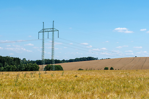 포토 JPG 해외이미지 식물 계절 산업 선 밭 농업 자연 하늘 씨앗 풍경 사람없음 여름 파란색 농작물 농장 탑 금속 힘 장비 에너지 수확 성장 시골 기둥 밀 보리 전염 철사 볼트 철탑 밀짚 공학 내추럴 밭일 생태학 숙성 전압 호밀 세련 해외202004 해외포토 건축물 교육 건축 컬러 재질 곡류 공구 짚 질병 생태계 감염 파일형식 이미지허브