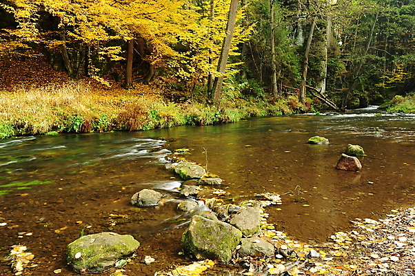 포토 JPG 해외이미지 나무 계절 공원 호수 백그라운드 잎 오렌지 자연 이끼 풍경 사람없음 야외 목재 빨간색 초록색 물 강 컬러풀 노란색 환경 흐름 가을 바위 시골 개울 황금 숲 작음 11월 장면 10월 내추럴 해외202004 해외포토 자연요소 식물 공공시설 컬러 컨셉 과일 재료 돌_바위 날짜 크기 생태계 파일형식 이미지허브