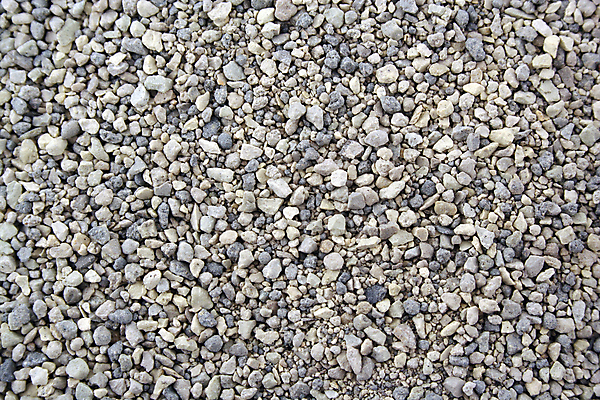 포토 JPG 해외이미지 동물 모래 백그라운드 사람없음 반려동물 고양이 회색 쓰레기 해외202004 해외포토 컬러 포유류 파일형식 이미지허브