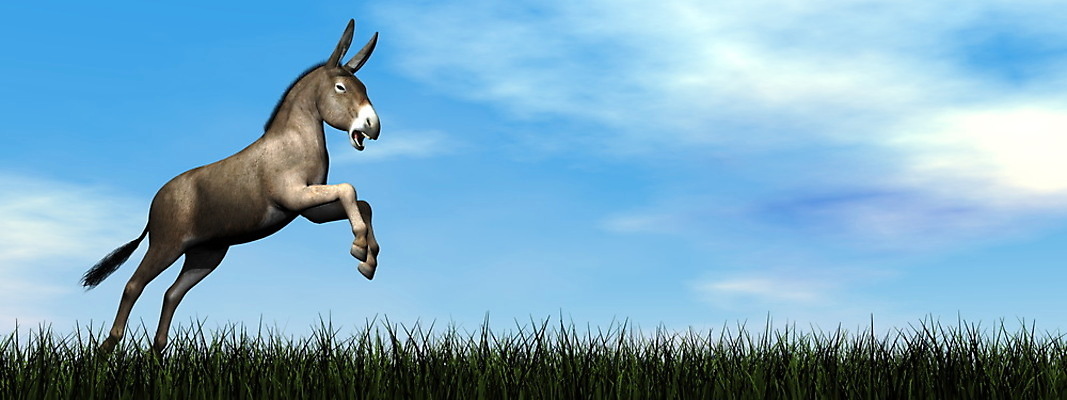 포토 JPG 해외이미지 동물 구름 행복 일러스트 포유류 자연 하늘 사람없음 그래픽 초록색 파란색 농장 농경지 머리 3D 디지털 점프 회색 꼬리 만들기 당나귀 해외202004 해외일러스트 자연요소 감정 컬러 농업 모션 신체부위 말_동물 디지털합성 생태계 파일형식 이미지허브