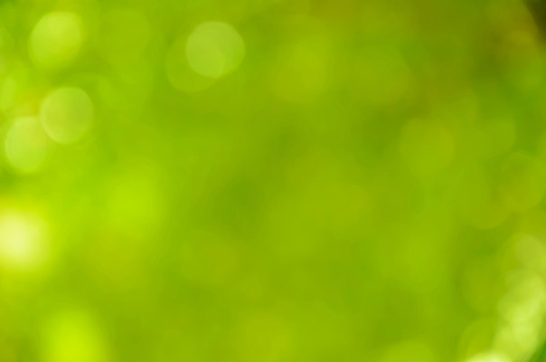 포토 JPG 해외이미지 사람없음 초록색 소프트포커스 보케 빛망울 블러 블러효과 보케백그라운드 해외202004 해외포토 컬러 백그라운드 촬영기법 빛 파일형식 효과 이미지허브