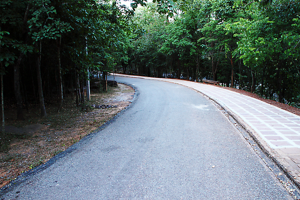 포토 JPG 해외이미지 나무 도로 길 백그라운드 컨셉 잎 곡선 교통시설 풍경 사람없음 야외 초록색 여름 빛 노란색 맑음 봄 나뭇가지 고속도로 숲 아스팔트 굴곡 해외202004 해외포토 식물 계절 선 컬러 교통 날씨 시설 파일형식 이미지허브