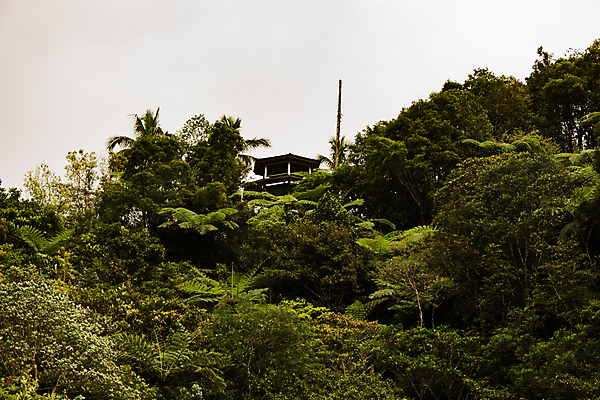 포토 JPG 해외이미지 나무 구름 공원 아시아 도로 여행 백그라운드 자연 조류 하늘 낚시 산 풍경 사람없음 야외 초록색 물 여름 파란색 태양 갈색 맑음 봄 연못 신선 고속도로 체리 개울 선탠 숲 내추럴 용광로 해외202004 해외포토 자연요소 식물 동물 계절 공공시설 나라 길 컬러 과일 교통시설 레저 날씨 강 생태계 파일형식 이미지허브