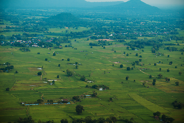 포토 JPG 해외이미지 나무 식물 공원 백그라운드 밭 농업 자연 하늘 안테나 파노라마 풍경 사람없음 야외 초록색 여름 파란색 농작물 태양 농장 농경지 노란색 일출 환경 맑음 봄 수확 성장 시골 소 정상 숲 땅 밀 질감 장면 대두 미얀마 밭일 해외202004 해외포토 자연요소 계절 공공시설 산업 아시아 컬러 통신 포유류 날씨 곡류 촬영기법 노을 생태계 파일형식 이미지허브