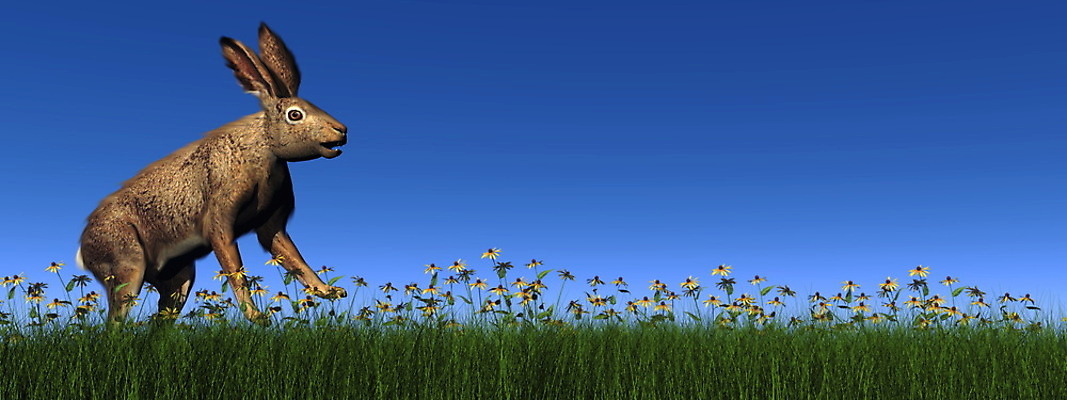 포토 JPG 해외이미지 동물 꽃 야생동물 일러스트 포유류 자연 털 사람없음 그래픽 초록색 파란색 달리기 3D 디지털 토끼 설치류 만들기 동물상 해외202004 해외일러스트 식물 컬러 모션 반려동물 조형물 디지털합성 생태계 파일형식 이미지허브