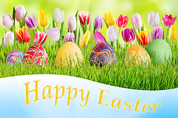 포토 JPG 해외이미지 전통 디자인 계절 꽃잎 꽃 음식 백그라운드 꽃무늬 자연 벽지 휴가 기념 이벤트 사람없음 장식 초록색 빛 페인트 봄 수확 흰색 시골 신용카드 4월 심볼 질감 부활절계란 해외202004 해외포토 식물 컬러 무늬 농업 부활절 금융 계란 날짜 생태계 파일형식 이미지허브