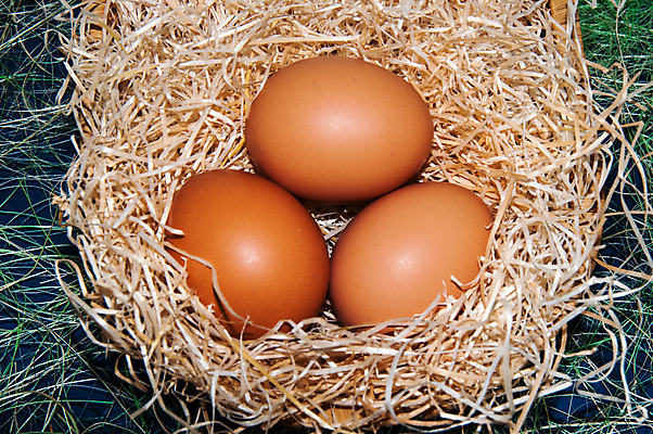 포토 JPG 해외이미지 전통 디자인 계절 꽃 행복 종교 음식 꽃무늬 휴가 부활절 기념 건강 선물 사람없음 장식 컬러풀 바구니 계란 축제 봄 흰색 축하 신선 둥지 4월 심볼 유기농 밀짚 내추럴 해외202004 해외포토 식물 웰빙 기념일 감정 컬러 컨셉 무늬 알 날짜 짚 파일형식 이미지허브