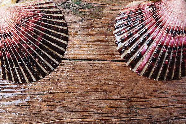 포토 JPG 해외이미지 동물 음식 바다 백그라운드 오렌지 재료 자연 조개 연체동물 건강 육류 어류 사람없음 빨간색 물 빛 식당 식사 저녁식사 활발 추위 덮개 껍질 흰색 신선 오픈 시장 해산물 묘사 오브젝트 싱글 질감 날것 가리비 내추럴 점심식사 고립 해외202004 해외포토 자연요소 컬러 컨셉 과일 식재료 어패류 무척추동물 상점 수중동물 뚜껑 생태계 파일형식 이미지허브