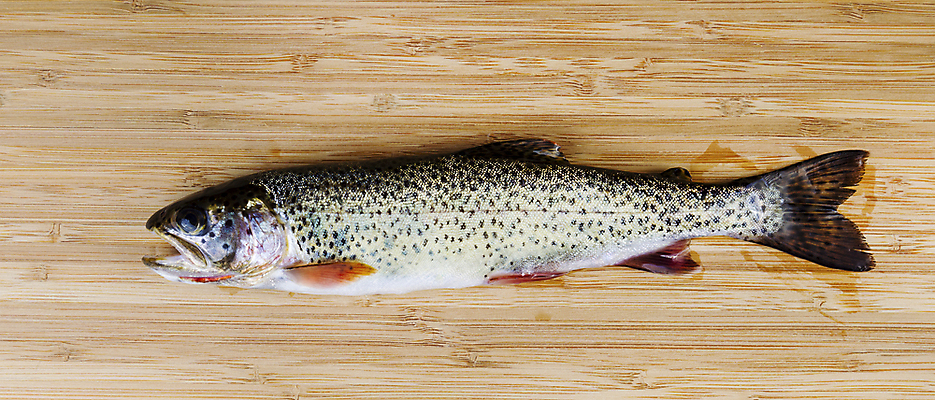 포토 JPG 해외이미지 동물 야생동물 음식 스포츠 백그라운드 다이어트 자연 낚시 건강 어류 사람없음 목재 가로 저녁식사 신선 잡기 얼룩 대나무 싱글 날것 민물 송어 오메가 해외202004 해외포토 나무 재료 모션 레저 식사 수중동물 생태계 파일형식 이미지허브