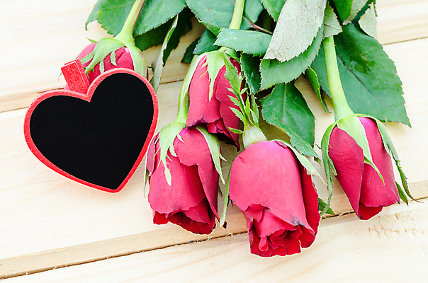 포토 JPG 해외이미지 모양 식물 디자인 꽃잎 꽃 종이 꽃다발 결혼 백그라운드 잎 꽃무늬 자연 휴가 발렌타인데이 선물 사랑 사람없음 장식 빨간색 초록색 여름 장미 꼬리표 쌓기 우주 검은색 어둠 공백 벚꽃 하트 축하 신선 다발 심볼 내추럴 해외202004 해외포토 계절 감정 컬러 컨셉 무늬 모션 데이이벤트 이벤트 라벨 생태계 파일형식 이미지허브