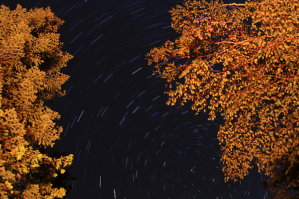 포토 JPG 해외이미지 별 과학 자연 하늘 추상 불꽃 사람없음 파란색 빛 우주 검은색 어둠 황혼 별자리 흰색 야간 신비 코스모스 점성술 천문학 별빛 성운 깊이 해외202004 해외포토 자연요소 교육 꽃 컬러 컨셉 무늬 불 일몰 생태계 파일형식 이미지허브