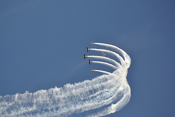 포토 JPG 해외이미지 날개 사람없음 해외202004 해외포토 파일형식 이미지허브