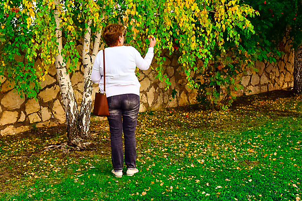 포토 JPG 해외이미지 나무 라이프스타일 커플 공원 행복 호수 어린이 밭 가족 자연 하늘 낚시 산 건강 사랑 사람 풍경 소년 사람없음 야외 초록색 물 여름 파란색 강 달리기 걷기 가을 연못 숲 해외202004 해외포토 자연요소 식물 계절 공공시설 남자 감정 컬러 농업 관계 모션 레저 생활 생태계 파일형식 이미지허브
