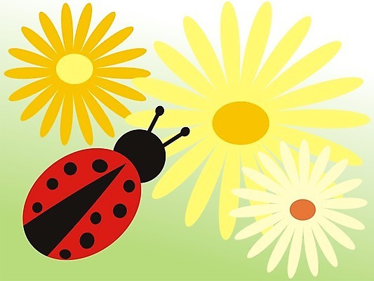 포토 JPG 해외이미지 식물 동물 1 꽃 야생동물 곤충 백그라운드 꽃무늬 곡선 자연 벽지 생물 사람없음 빨간색 초록색 여름 정원 검은색 봄 벚꽃 나뭇가지 점 벌레 정상 작음 딱정벌레 생물학 무당벌레 생태학 해외202004 해외포토 나무 계절 교육 선 컬러 무늬 크기 생태계 파일형식 이미지허브