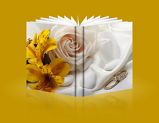 포토 JPG 해외이미지 꽃 리본 백그라운드 일러스트 휴가 새로움 발렌타인데이 선물 사랑 사람없음 장식 책 빨간색 상자 장미 상점 놀람 흰색 하트 축하 신용카드 티켓 황금 우아함 은색 심볼 오브젝트 패키지 고립 해외202004 해외일러스트 모양 식물 감정 컬러 컨셉 데이이벤트 표정 금융 파일형식 이미지허브