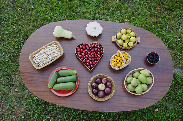 포토 JPG 해외이미지 접시 계절 열매 컨셉 농업 채소 과일 재료 탁자 양파 오이 콩 사람없음 목재 빨간색 초록색 갈색 노란색 정원 수확 신선 도자기 달콤 자두 스쿼시 꼬투리 주키니 주키니호박 해외202004 해외포토 나무 식물 식기 산업 스포츠 컬러 가구 곡류 구기 맛 파일형식 이미지허브