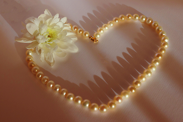 포토 JPG 해외이미지 모양 디자인 커플 여자 꽃 결혼 백그라운드 컨셉 목걸이 장신구 발렌타인데이 선물 사랑 사람없음 장식 빛 유행 금속 흰색 하트 축하 신용카드 화려 황금 고급 우아함 성자 보석 심볼 해외202004 해외포토 식물 감정 종교 컬러 관계 데이이벤트 재질 사람 이벤트 금융 광석 파일형식 이미지허브