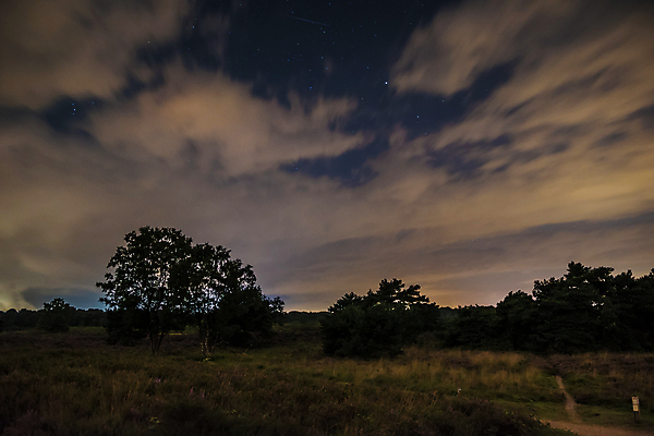 포토 JPG 해외이미지 나무 별 여행 백그라운드 밭 자연 하늘 풍경 사람없음 야외 초록색 물 여름 빛 강 우주 검은색 어둠 봄 별자리 추위 야간 저녁 네덜란드 코스모스 은하계 장면 천문학 방법 벨로루시 해외202004 해외포토 자연요소 식물 계절 교육 꽃 유럽 컬러 농업 생태계 파일형식 이미지허브