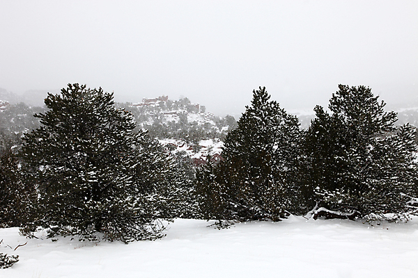 포토 JPG 해외이미지 나무 크리스마스 겨울 날씨 사람없음 흰색 소나무 황무지 12월 폭풍 눈보라 폭설 해외202004 해외포토 식물 계절 기념일 컬러 눈_날씨 날짜 자연재해 파일형식 이미지허브