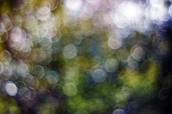 포토 JPG 해외이미지 사람없음 소프트포커스 보케 빛망울 블러 블러효과 보케백그라운드 해외202004 해외포토 백그라운드 촬영기법 빛 파일형식 효과 이미지허브