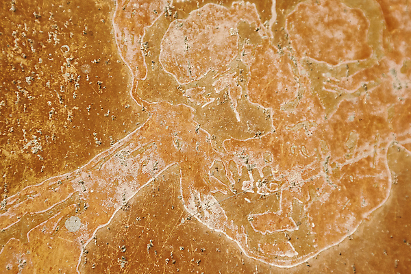 포토 JPG 해외이미지 표면 사람없음 빨간색 죽음 위험 심볼 윤곽 해골모형 해외202004 해외포토 컬러 컨셉 모형 파일형식 이미지허브