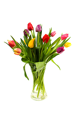 포토 JPG 해외이미지 식물 꽃 꽃다발 잎 전구 자연 유리 선물 사람없음 여름 컬러풀 꽃병 봄 튤립 신선 생일 네덜란드 고립 해외202004 해외포토 계절 기념일 유럽 컬러 재질 생태계 파일형식 이미지허브