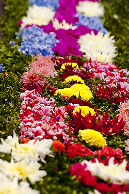 포토 JPG 해외이미지 식물 꽃 종교 거리 사람 사람없음 장식 컬러풀 교회 와인 축제 벚꽃 축하 개화 포르투갈 신성 단아함 방법 행진 해외202004 해외포토 유럽 컬러 컨셉 종교건축 모션 주류 건물 파일형식 이미지허브